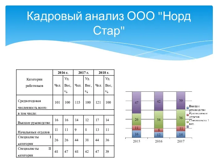 Кадровый анализ ООО "Норд Стар"