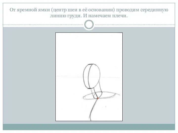 От яремной ямки (центр шеи в её основании) проводим серединную линию груди. И намечаем плечи.