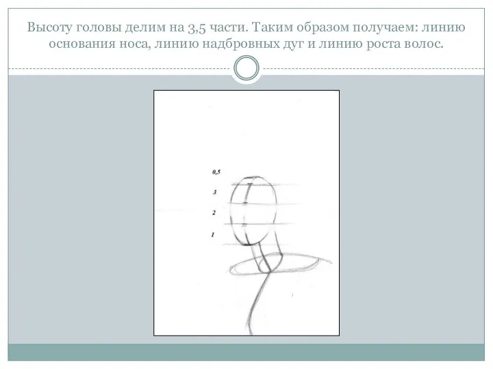 Высоту головы делим на 3,5 части. Таким образом получаем: линию основания