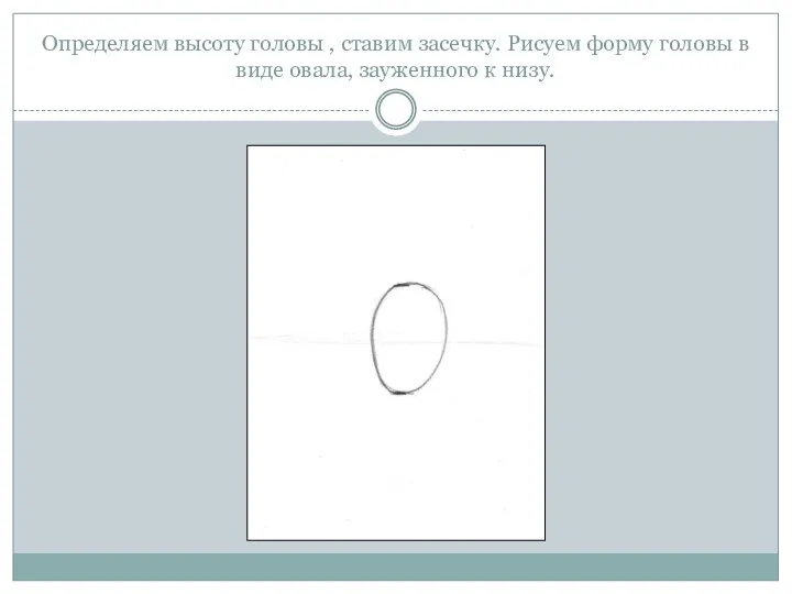 Определяем высоту головы , ставим засечку. Рисуем форму головы в виде овала, зауженного к низу.