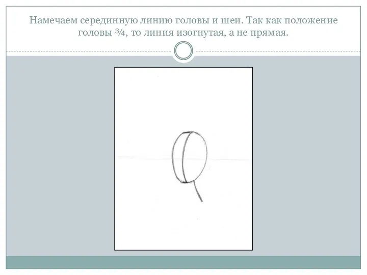 Намечаем серединную линию головы и шеи. Так как положение головы ¾,