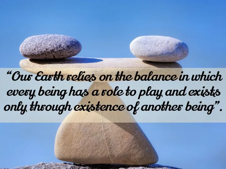 “Our Earth relies on the balance in which every being has