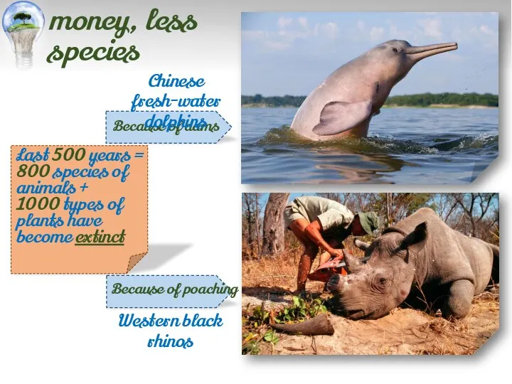 Last 500 years = 800 species of animals + 1000 types