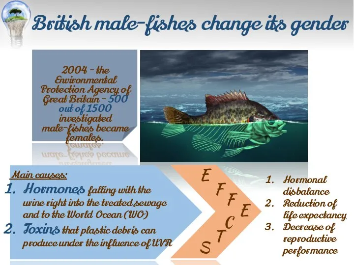 British male-fishes change its gender 2004 - the Environmental Protection Agency