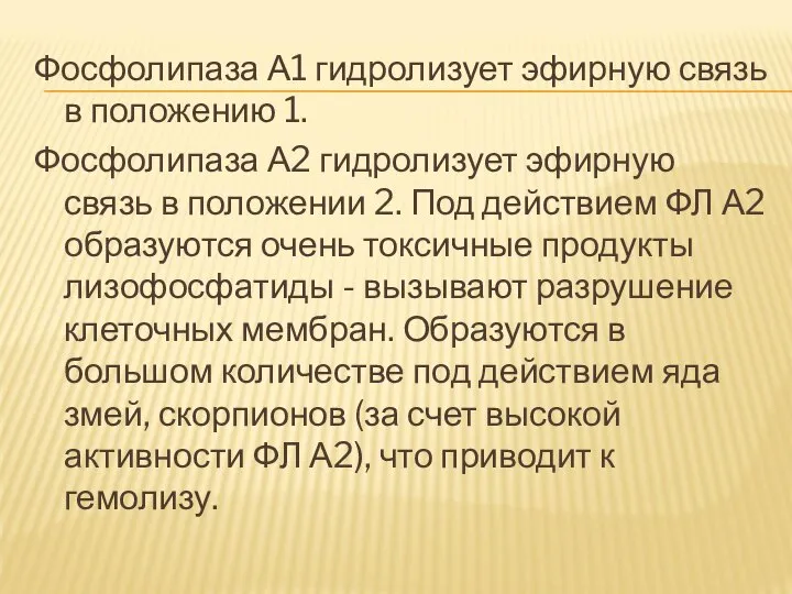 Фосфолипаза А1 гидролизует эфирную связь в положению 1. Фосфолипаза А2 гидролизует