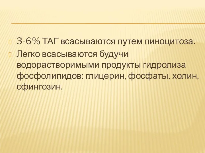 3-6% ТАГ всасываются путем пиноцитоза. Легко всасываются будучи водорастворимыми продукты гидролиза фосфолипидов: глицерин, фосфаты, холин, сфингозин.