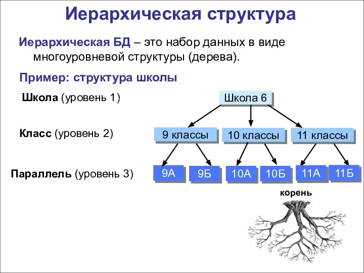 Иерархическая структура Иерархическая БД – это набор данных в виде многоуровневой