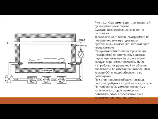 Рис. 18.2. Калориметр для исследований, проводимых на человеке. Суммарная выделяющаяся энергия