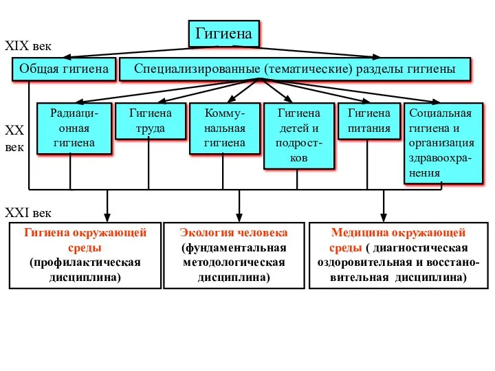 Гигиена Гигиена питания Гигиена детей и подрост-ков Комму-нальная гигиена Гигиена труда