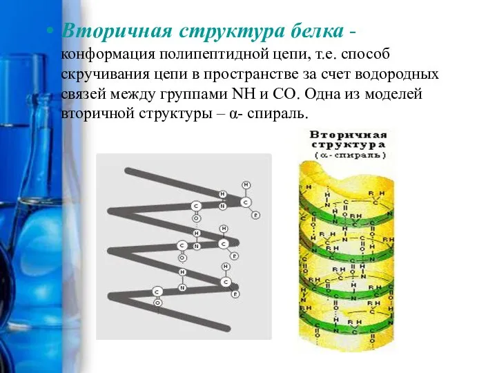 Вторичная структура белка - конформация полипептидной цепи, т.е. способ скручивания цепи