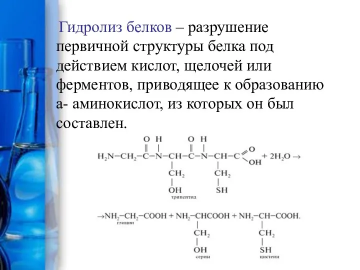 Гидролиз белков – разрушение первичной структуры белка под действием кислот, щелочей