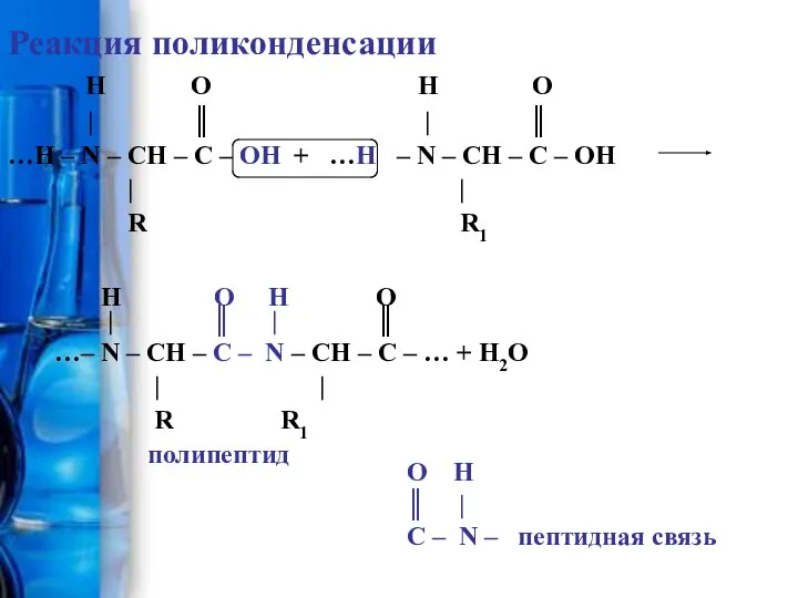 Реакция поликонденсации H O H O | ║ | ║ …H