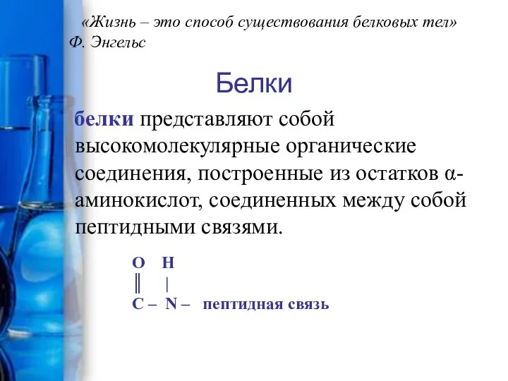 Белки белки представляют собой высокомолекулярные органические соединения, построенные из остатков α-