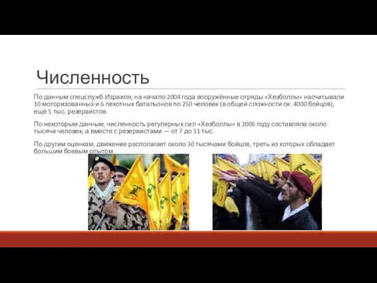 Численность По данным спецслужб Израиля, на начало 2004 года вооружённые отряды