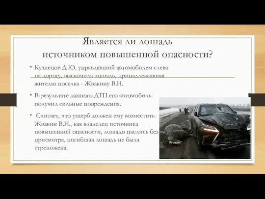 Является ли лошадь источником повышенной опасности? Кузнецов Д.Ю. управлявший автомобилем слева