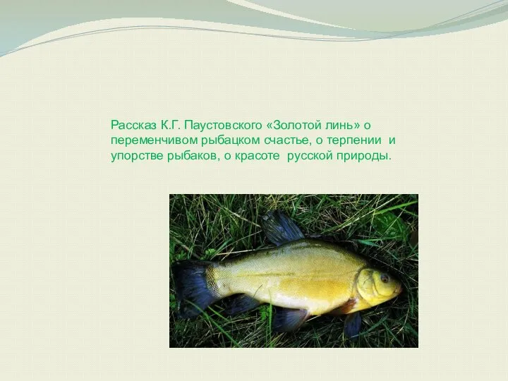 Рассказ К.Г. Паустовского «Золотой линь» о переменчивом рыбацком счастье, о терпении