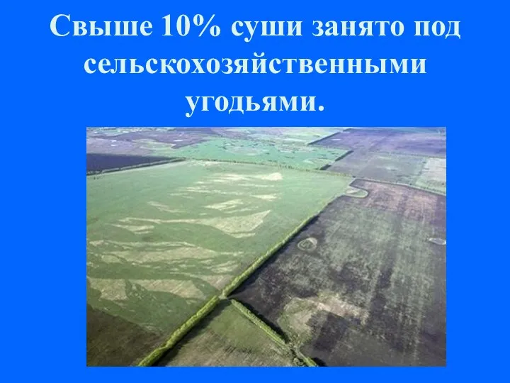 Свыше 10% суши занято под сельскохозяйственными угодьями.