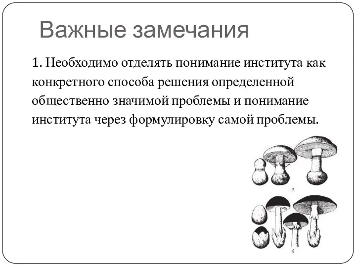 Важные замечания 1. Необходимо отделять понимание института как конкретного способа решения