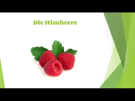 Die Himbeere