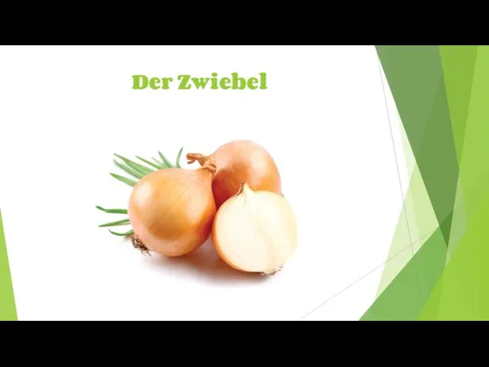 Der Zwiebel