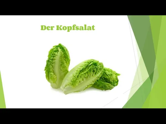 Der Kopfsalat