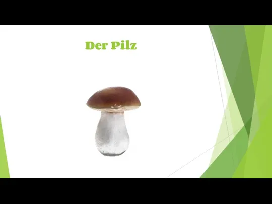 Der Pilz