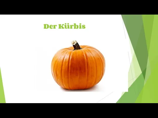 Der Kürbis