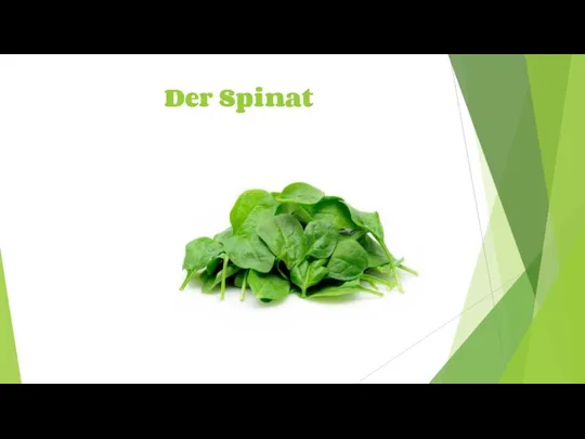 Der Spinat