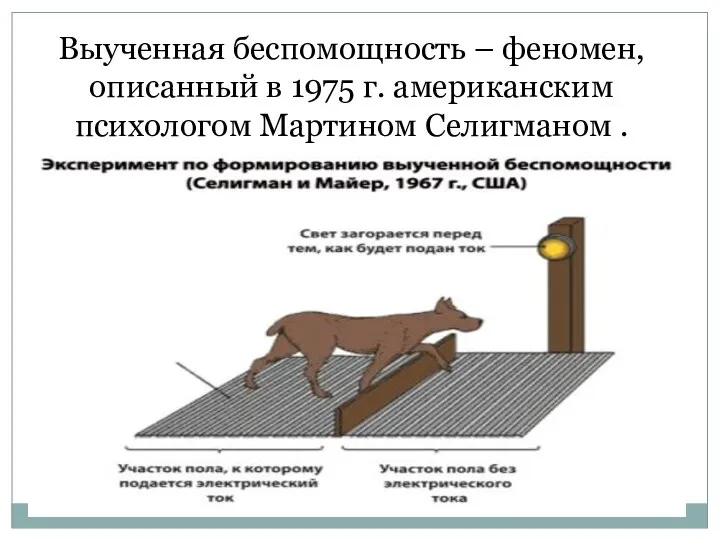 Выученная беспомощность – феномен, описанный в 1975 г. американским психологом Мартином Селигманом .