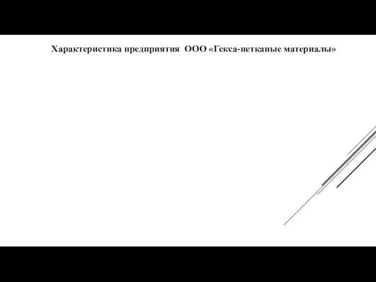 Характеристика предприятия ООО «Гекса-нетканые материалы»