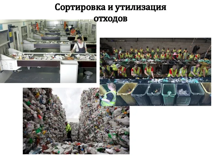 Сортировка и утилизация отходов