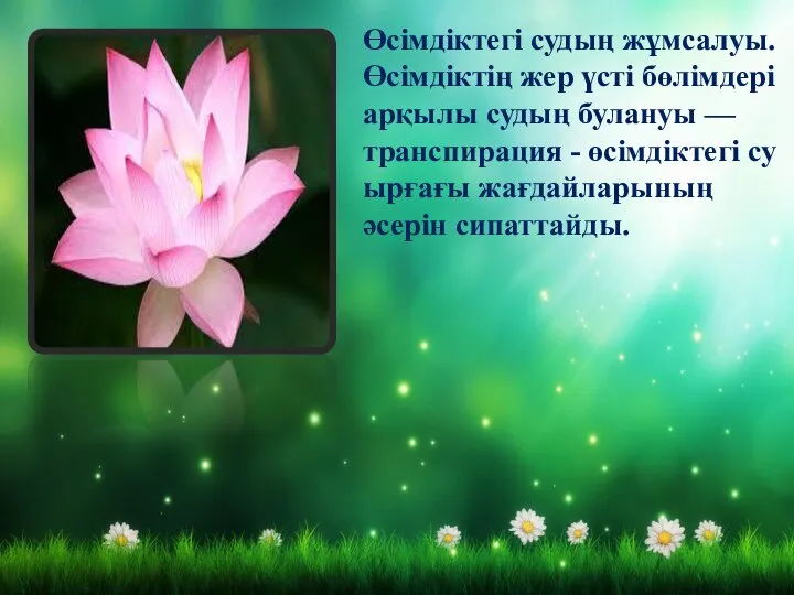 Өсiмдiктегi судың жұмсалуы. Өсiмдiктiң жер үстi бөлiмдерi арқылы судың булануы —