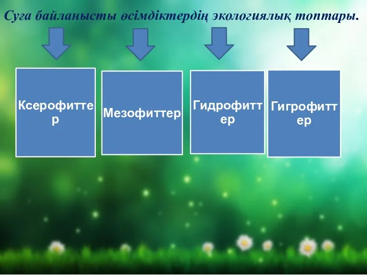 Суға байланысты өсімдіктердің экологиялық топтары.