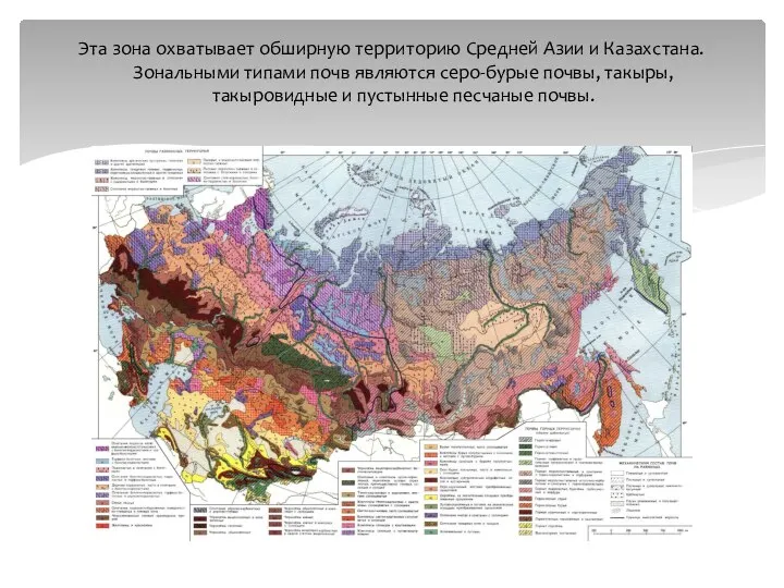 Эта зона охватывает обширную территорию Средней Азии и Казахстана. Зональными типами