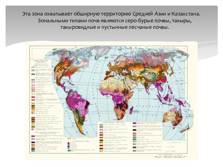 Эта зона охватывает обширную территорию Средней Азии и Казахстана. Зональными типами