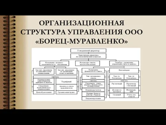 ОРГАНИЗАЦИОННАЯ СТРУКТУРА УПРАВЛЕНИЯ ООО «БОРЕЦ-МУРАВЛЕНКО»