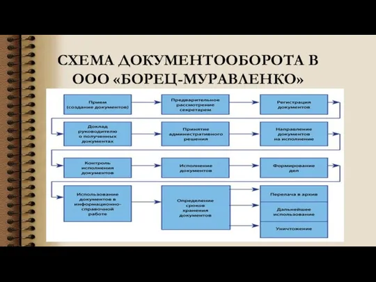 СХЕМА ДОКУМЕНТООБОРОТА В ООО «БОРЕЦ-МУРАВЛЕНКО»