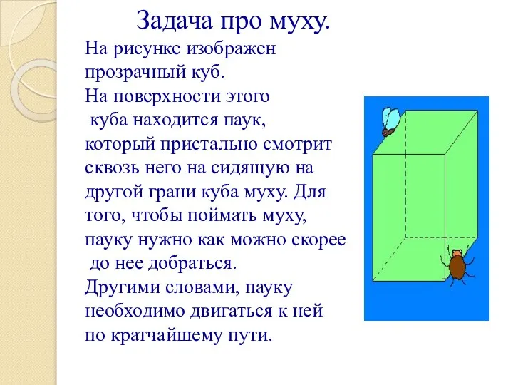 Задача про муху. На рисунке изображен прозрачный куб. На поверхности этого