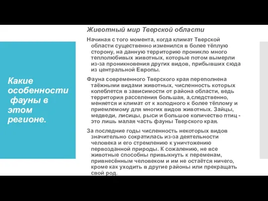 Какие особенности фауны в этом регионе. Животный мир Тверской области Начиная