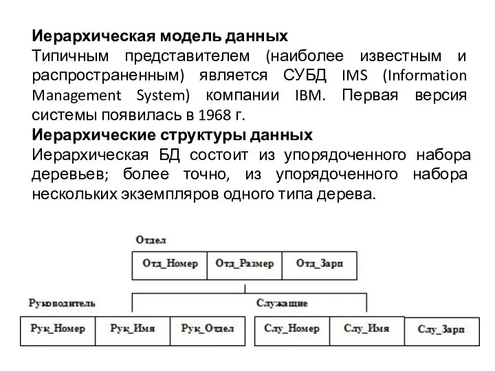 Иерархическая модель данных Типичным представителем (наиболее известным и распространенным) является СУБД