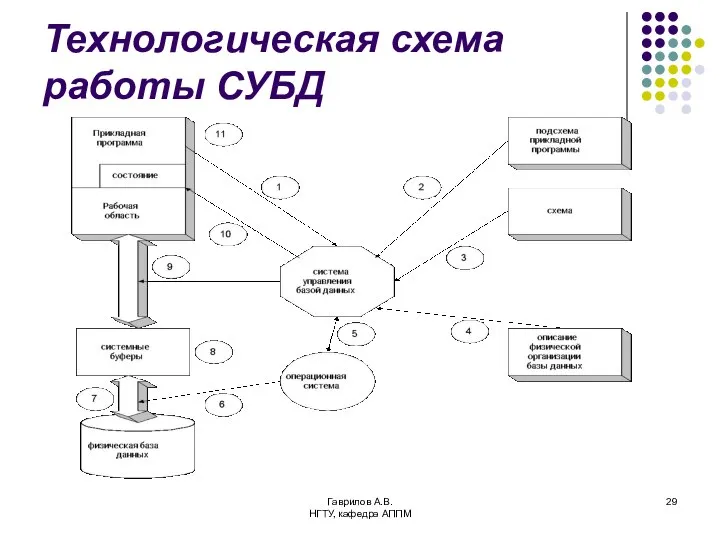 Гаврилов А.В. НГТУ, кафедра АППМ Технологическая схема работы СУБД