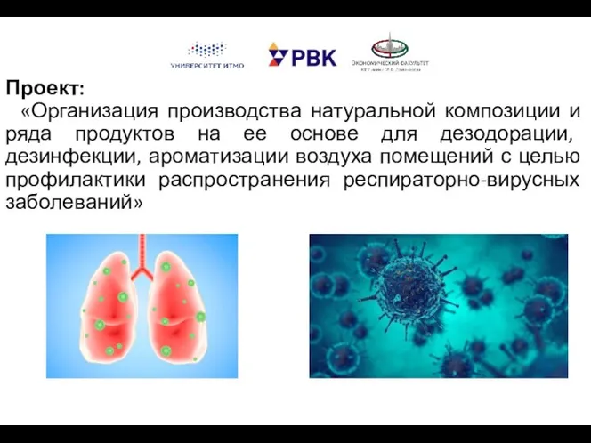 Проект: «Организация производства натуральной композиции и ряда продуктов на ее основе