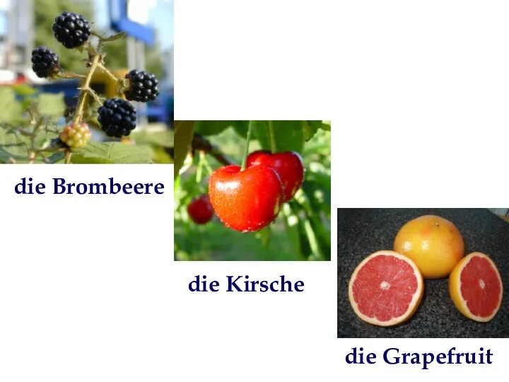 die Brombeere die Kirsche die Grapefruit