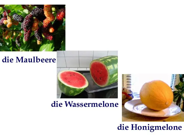 die Maulbeere die Wassermelone die Honigmelone