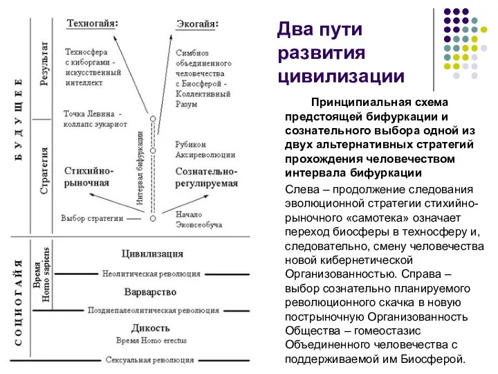 Два пути развития цивилизации Принципиальная схема предстоящей бифуркации и сознательного выбора