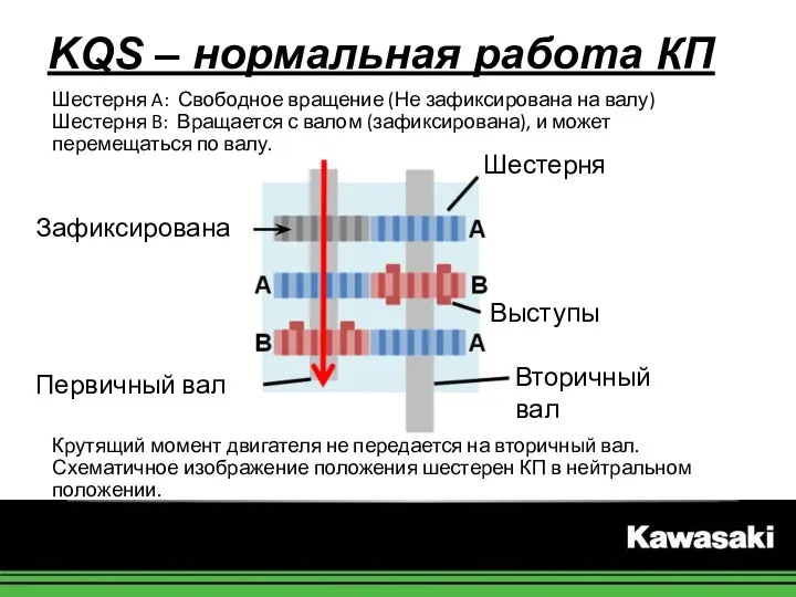 Шестерня A: Свободное вращение (Не зафиксирована на валу) Шестерня B: Вращается