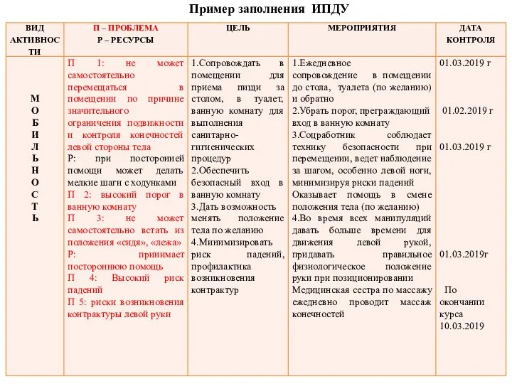 Пример заполнения ИПДУ