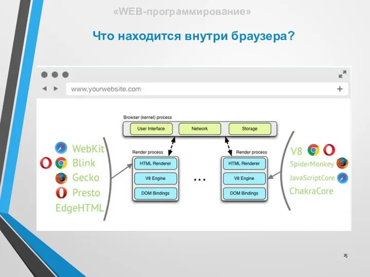 Что находится внутри браузера? «WEB-программирование»