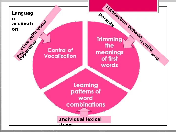 Interaction between child and parents Practice with vocal apparatus Individual lexical items Language acquisition