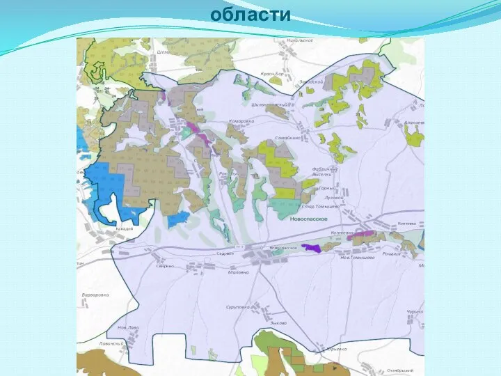 Новоспасское лесничество Ульяновской области